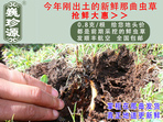 rx(chng)Ĳ շb 0.8/r(ji)80Ԫ/