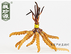 x(chng)Ĳ2.5l/ ڲ x؛r(ji)252Ԫ/